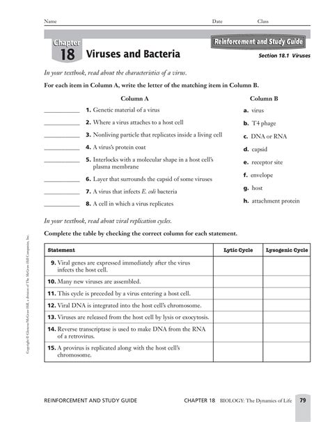 comparing viruses and bacteria worksheet answer key